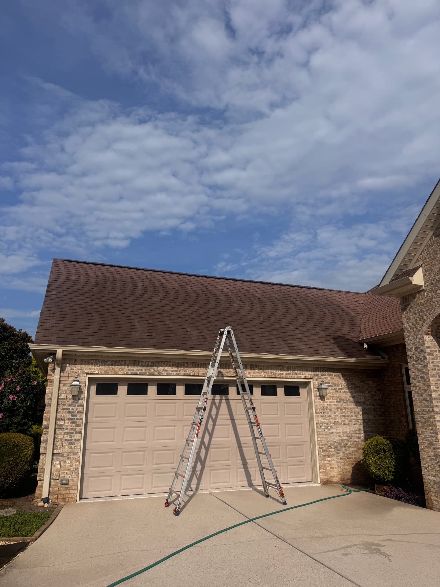 Ladder set up for a gutter clean-out in East Tennessee